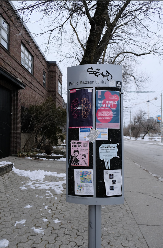 Take Over Toronto: 3 Week Poster Distribution: 900 Posters & City-Wide Distribution